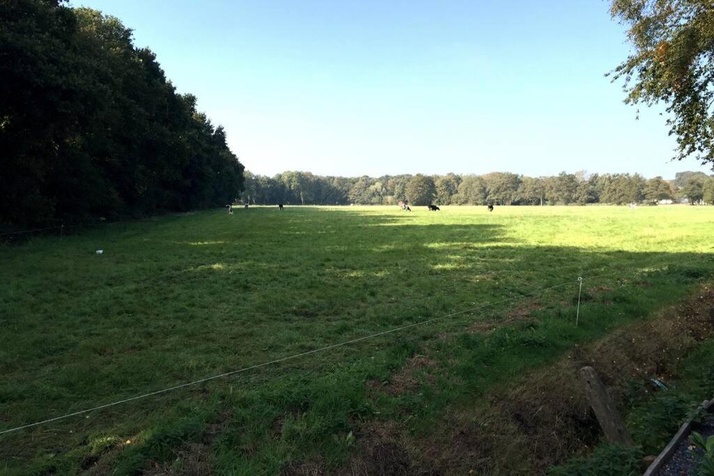 Natuurhuisje Veluwe Met Houtkachel En Pizzaoven Villa Ermelo Ngoại thất bức ảnh